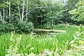 DSC08659 - Bernhard Saalfeld