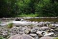 DSC08664 - Bernhard Saalfeld