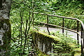 DSC08665 - Bernhard Saalfeld