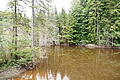 DSC08666 - Bernhard Saalfeld