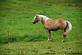 DSC08671 - Bernhard Saalfeld