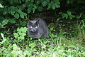 DSC08679 - Bernhard Saalfeld
