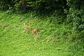 DSC08680 - Bernhard Saalfeld
