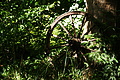 DSC08683 - Bernhard Saalfeld