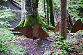DSC08691 - Bernhard Saalfeld