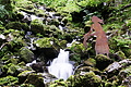 DSC08693 - Bernhard Saalfeld