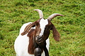 DSC08704 - Bernhard Saalfeld