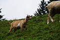 DSC08705 - Bernhard Saalfeld