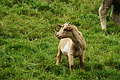 DSC08708 - Bernhard Saalfeld
