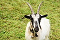 DSC08709 - Bernhard Saalfeld