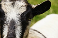 DSC08710 - Bernhard Saalfeld