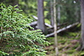 DSC08715 - Bernhard Saalfeld