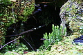 DSC08718 - Bernhard Saalfeld