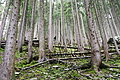 DSC08721 - Bernhard Saalfeld