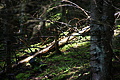 DSC08733 - Bernhard Saalfeld