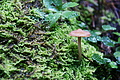 DSC08737 - Bernhard Saalfeld