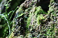 DSC08743 - Bernhard Saalfeld