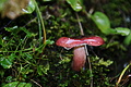 DSC08754 - Bernhard Saalfeld