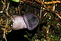 DSC08761 - Bernhard Saalfeld