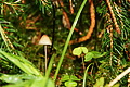 DSC08766 - Bernhard Saalfeld