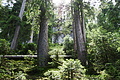 DSC08768 - Bernhard Saalfeld