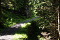 DSC08777 - Bernhard Saalfeld