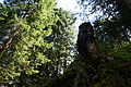 DSC08779 - Bernhard Saalfeld
