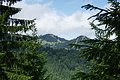 DSC08785 - Bernhard Saalfeld