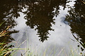 DSC08788 - Bernhard Saalfeld