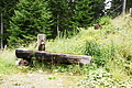 DSC08791 - Bernhard Saalfeld