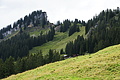DSC08802 - Bernhard Saalfeld