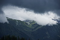DSC08805 - Bernhard Saalfeld