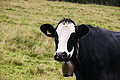 DSC08813 - Bernhard Saalfeld