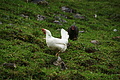 DSC08825 - Bernhard Saalfeld
