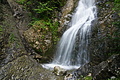 DSC08834 - Bernhard Saalfeld