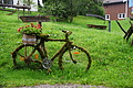 DSC08843 - Bernhard Saalfeld