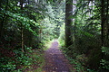 DSC08845 - Bernhard Saalfeld