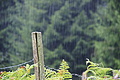 DSC08851 - Bernhard Saalfeld
