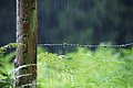 DSC08852 - Bernhard Saalfeld