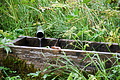 DSC08855 - Bernhard Saalfeld
