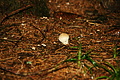 DSC08860 - Bernhard Saalfeld