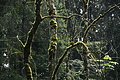 DSC08871 - Bernhard Saalfeld