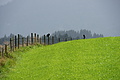 DSC08880 - Bernhard Saalfeld