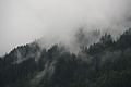 DSC08882 - Bernhard Saalfeld