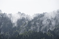 DSC08884 - Bernhard Saalfeld