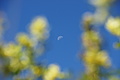 DSC08917 - Bernhard Saalfeld