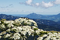 DSC08949 - Bernhard Saalfeld