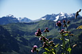 DSC08953 - Bernhard Saalfeld