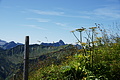 DSC08960 - Bernhard Saalfeld
