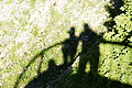 DSC08965 - Bernhard Saalfeld